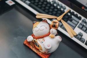 giấy phép Debet